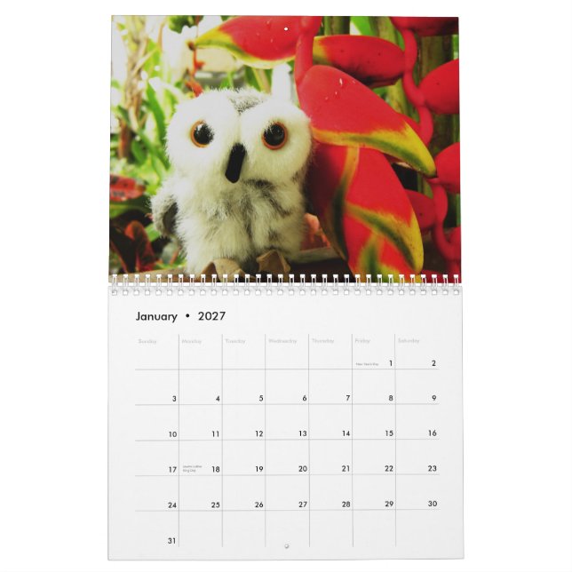 Calendario Ofelia y amigos 2009 (Jan 2027)