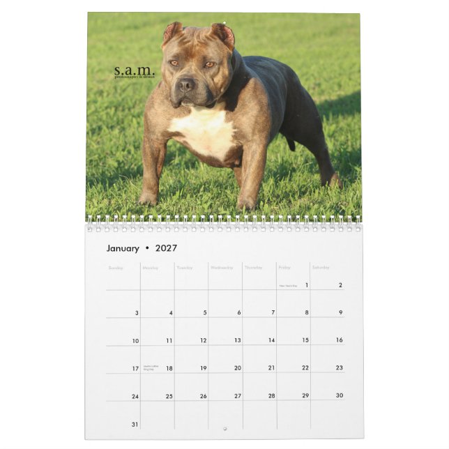 Calendario oficial de las PERRERAS de la CIUDAD de (Jan 2027)