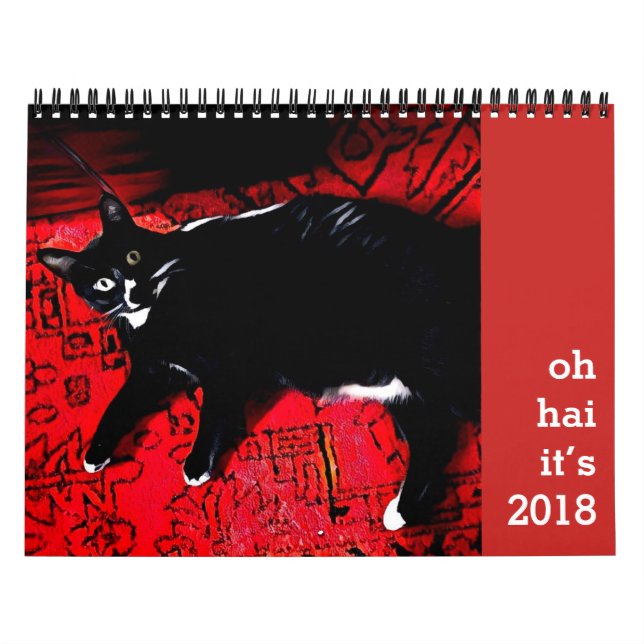 Calendario Oh Hai Calendar (Tapa)