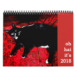 Calendario Oh Hai Calendar