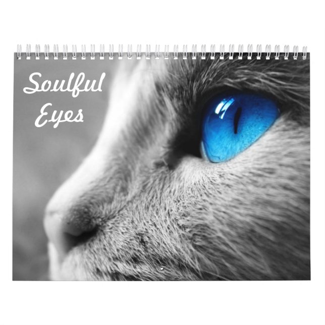 Calendario Ojos conmovedores del gato (Tapa)