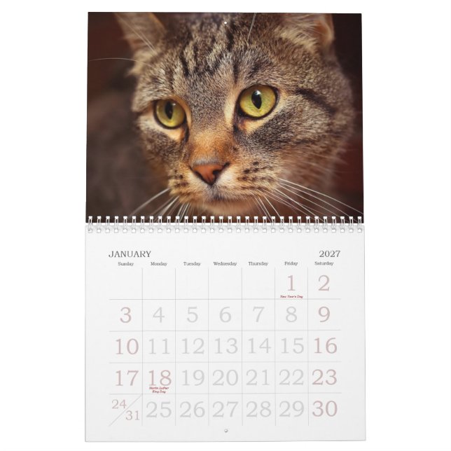 Calendario Ojos de gato (Jan 2027)
