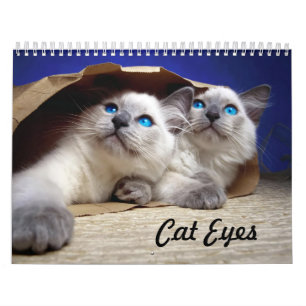 Calendario Ojos de gato