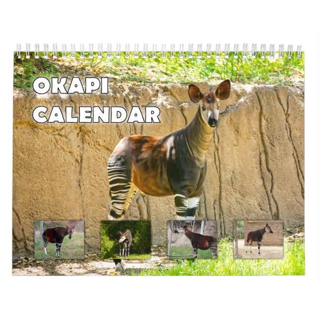 Calendario Okapi (Tapa)