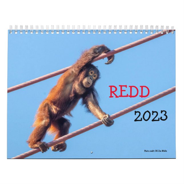 Calendario Orangutan Redd 2023 (Tapa)