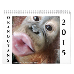 Calendario Orangutanes