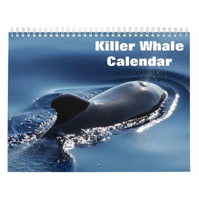 Calendario Orcas de ballena asesina 2025 (Tapa)