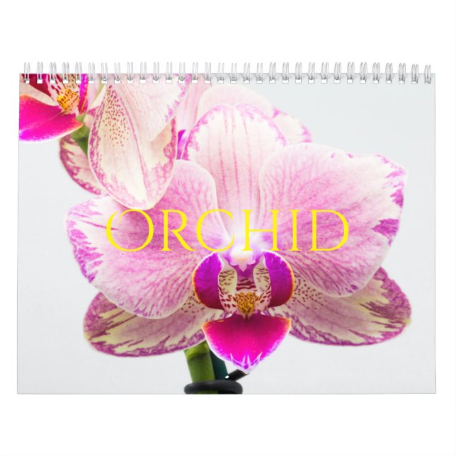 Calendario Orquídea (Tapa)