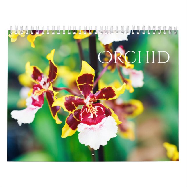 Calendario Orquídea (Tapa)