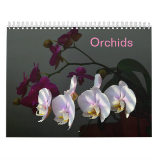Calendario Orquídeas