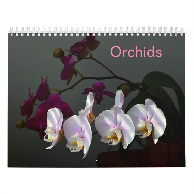 Calendario Orquídeas (Tapa)