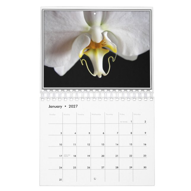 CALENDARIO ORQUÍDEAS 2011 (Jan 2027)