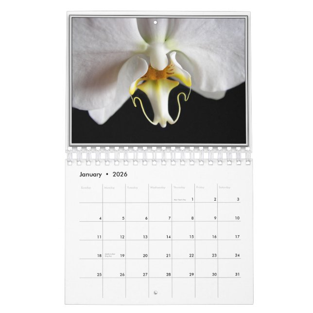 CALENDARIO ORQUÍDEAS 2011 (Jan 2026)