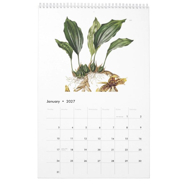 Calendario Orquídeas 2015 (Jan 2027)