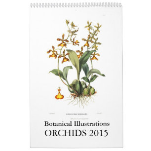 Calendario Orquídeas 2015