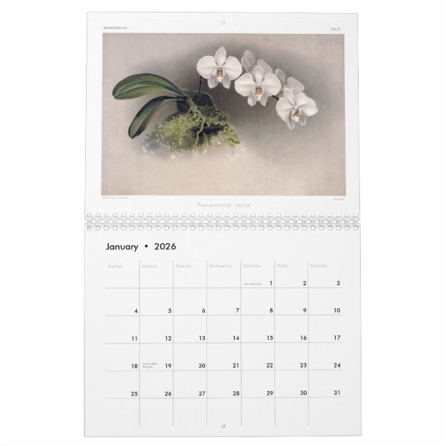 Calendario Orquídeas 2015 de Reichenbachia (Jan 2026)