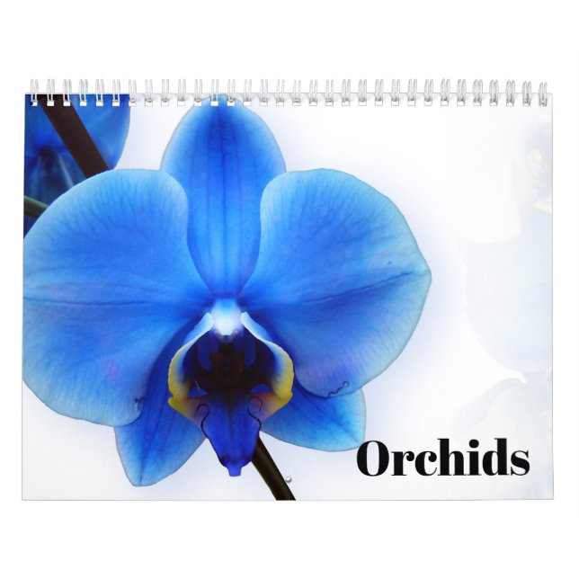 Calendario Orquídeas 2025 (Tapa)