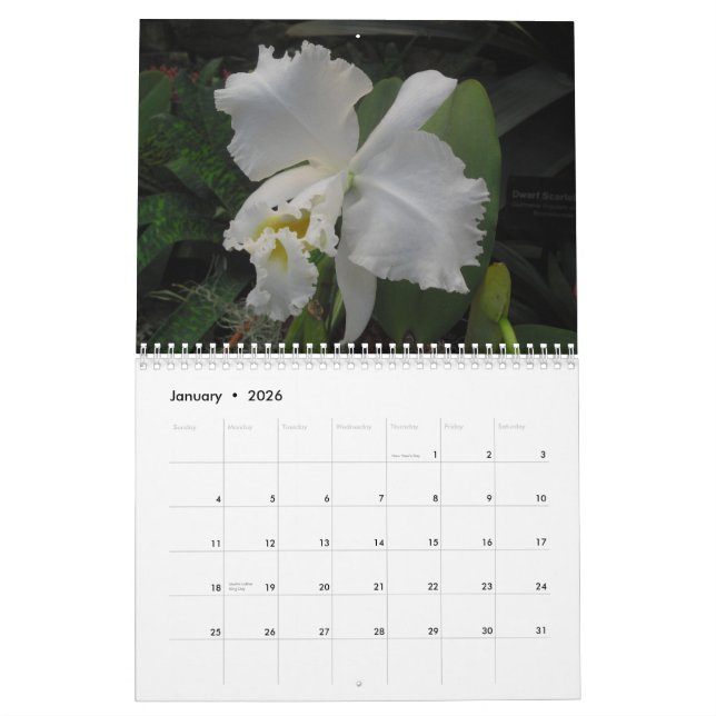 Calendario Orquídeas de Scott S. Jones (Jan 2026)
