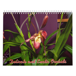 Calendario Orquídeas delicadas y exóticas