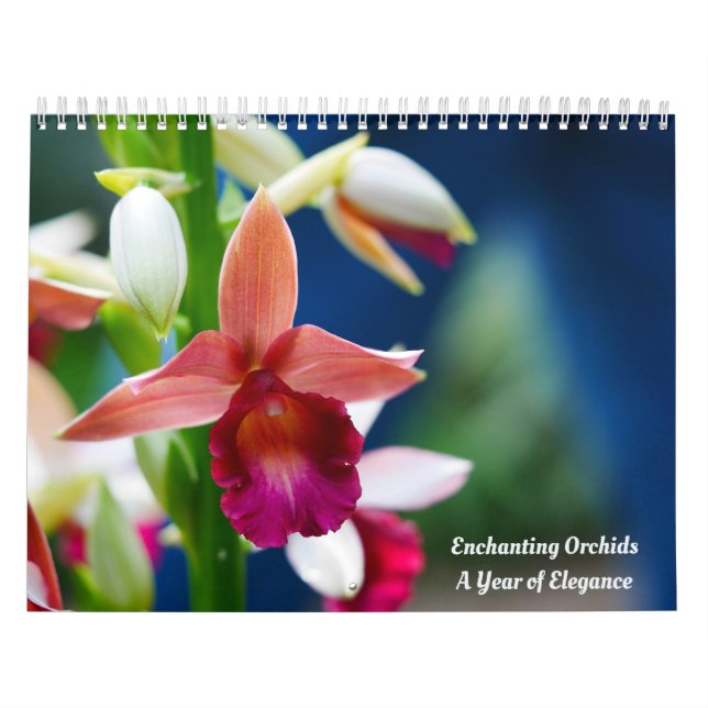 Calendario Orquídeas encantadoras (Tapa)