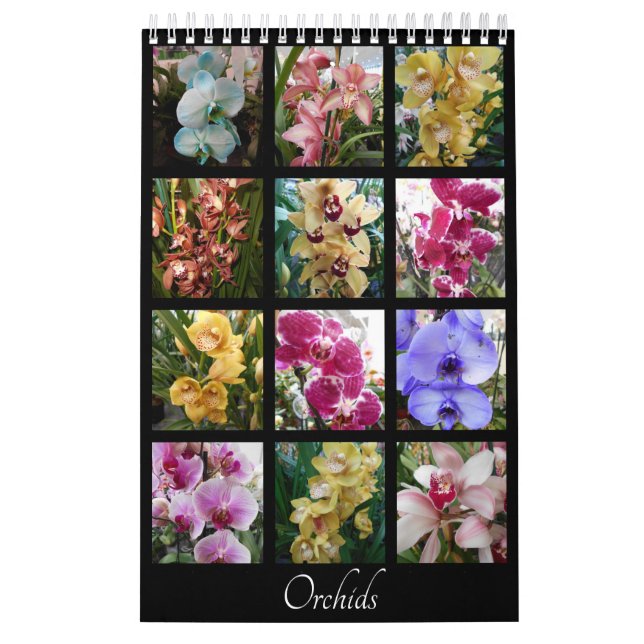 Calendario Orquídeas hermosas (Tapa)
