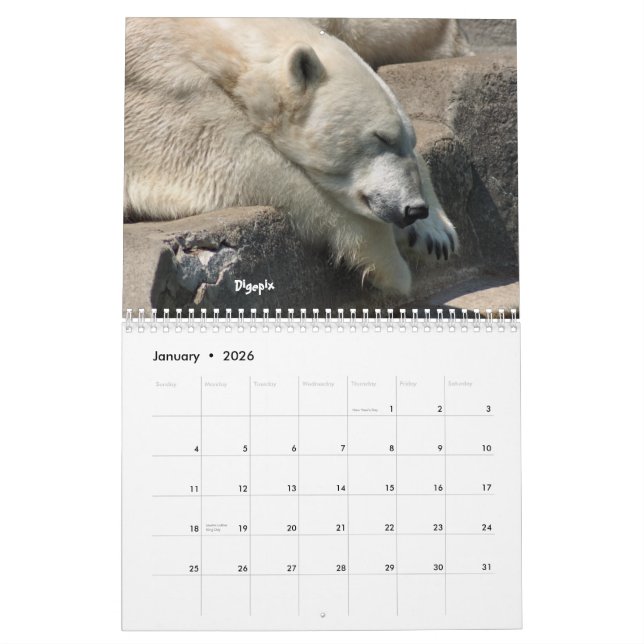 Calendario Oso polar 2012 (Jan 2026)