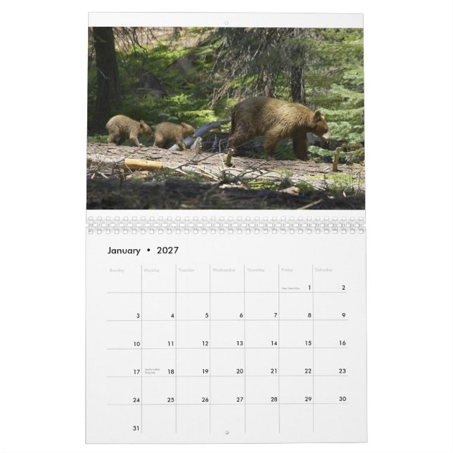 Calendario Osos de Edward Hughes (Jan 2027)