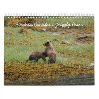 Calendario Osos grizzly canadienses occidentales