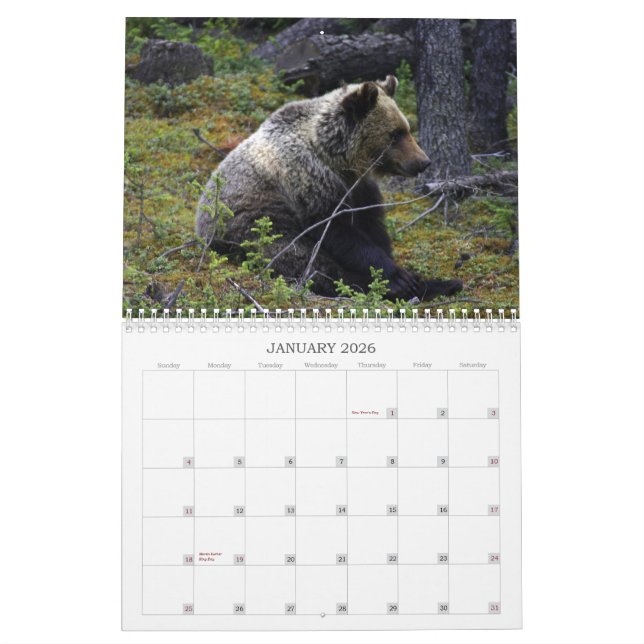 Calendario Osos grizzly canadienses occidentales (Jan 2026)