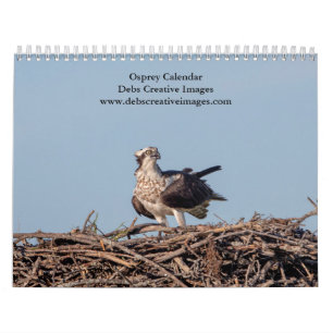 Calendario Osprey 2025