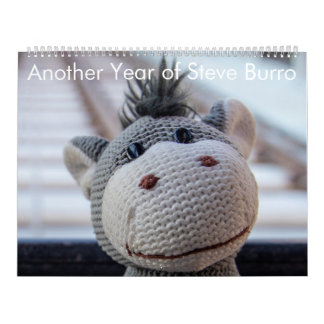 Calendario Otro año de Steve Burro