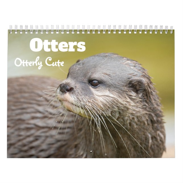 Calendario Otters 2026 (Tapa)