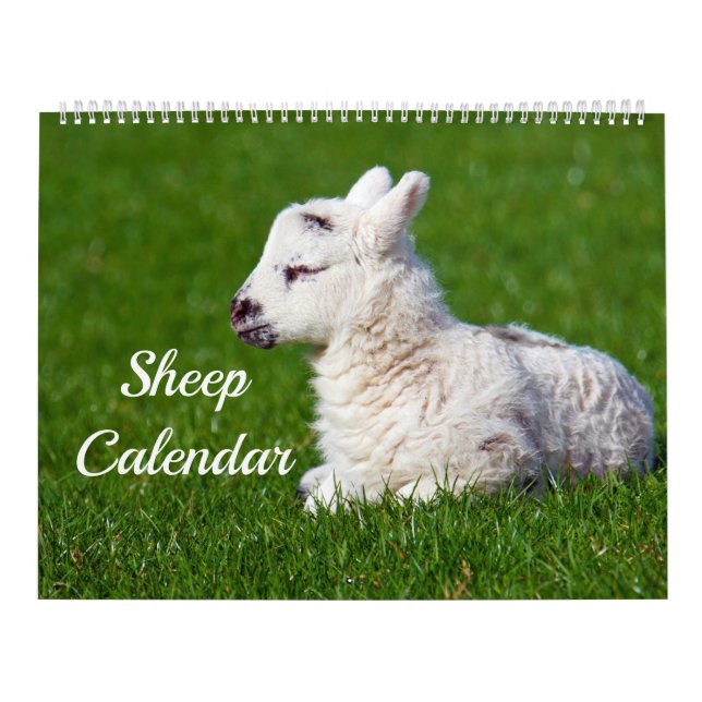 Calendario Ovejas (Tapa)