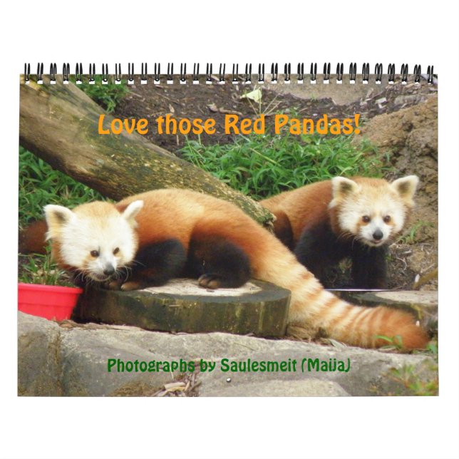 Calendario P8310607, ¡Ama a esos Pandas Rojos!, ... - Persona (Tapa)