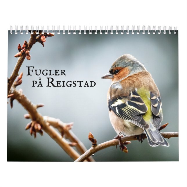 Calendario På Reigstad - Kalender 2021 (Tapa)