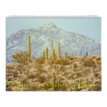 Paisaje del Parque Nacional Saguaro