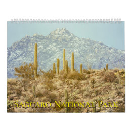 Calendario Paisaje del Parque Nacional Saguaro