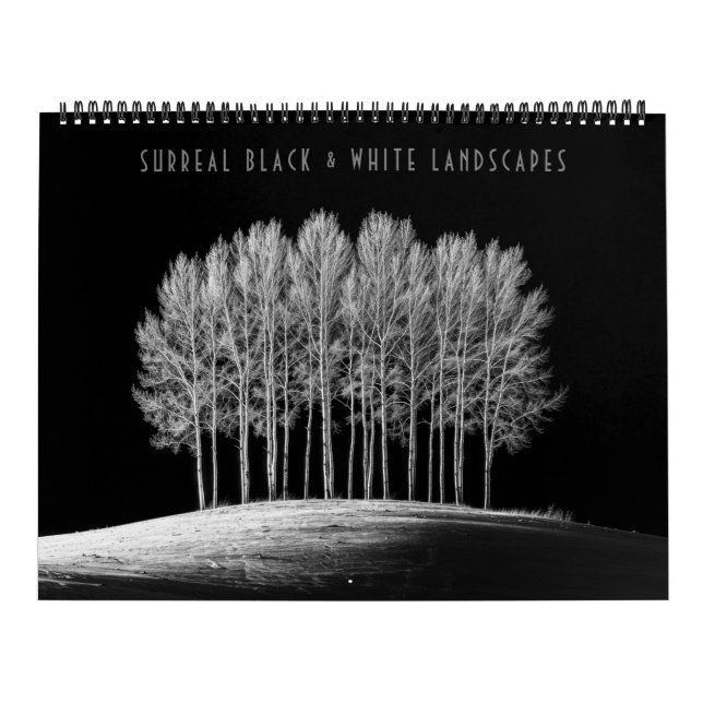 Calendario Paisajes en blanco y negro surrealistas (Tapa)