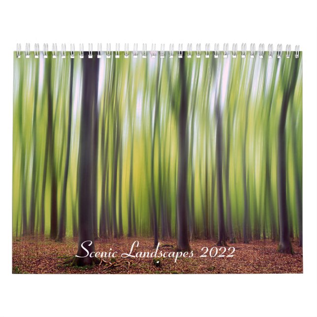 Calendario Paisajes panorámicos (Tapa)