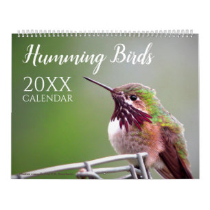 Calendario Pájaro Colibrí Naturaleza Vida Silvestre Pared