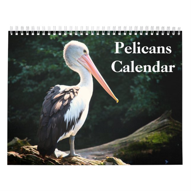 Calendario Pájaro Pelicans 2025 (Tapa)