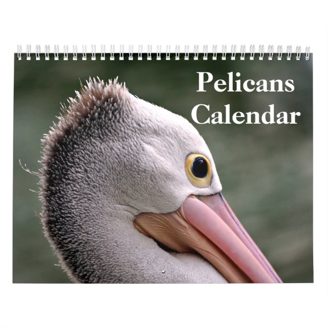 Calendario Pájaro Pelicans 2025 (Tapa)