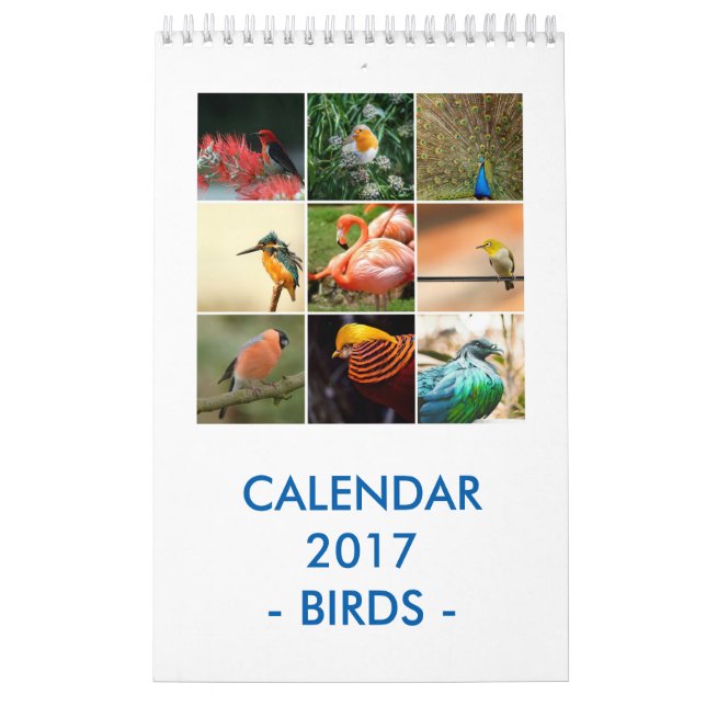 Calendario Pájaros (Tapa)