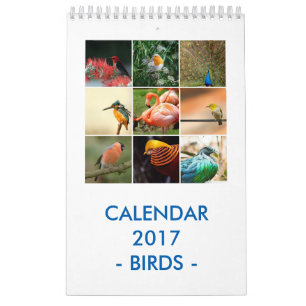 Calendario Pájaros