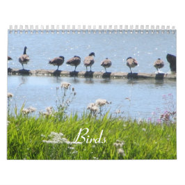 Calendario Pájaros