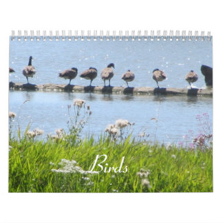 Calendario Pájaros