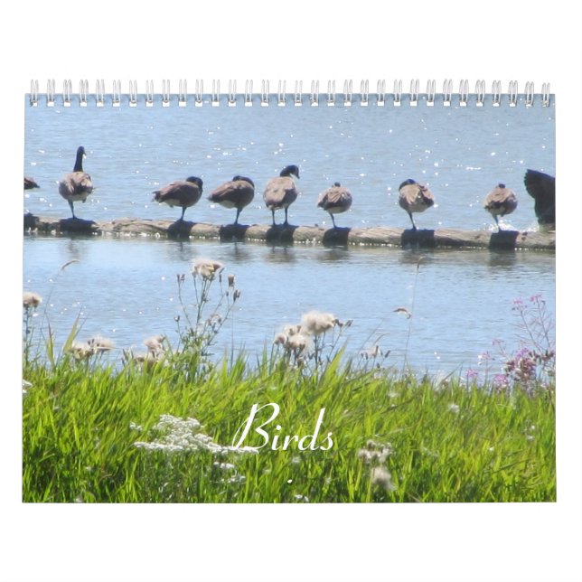 Calendario Pájaros (Tapa)