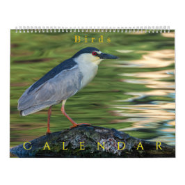 Calendario Pájaros