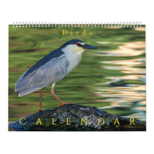 Calendario Pájaros