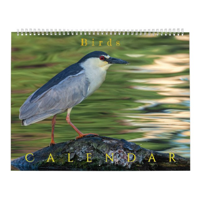 Calendario Pájaros (Tapa)
